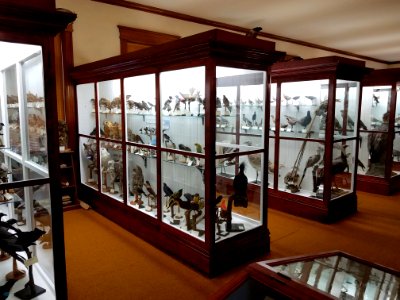 Museum exhibit cases - Pember Library and Museum - Granville, New York - 20180224 142324