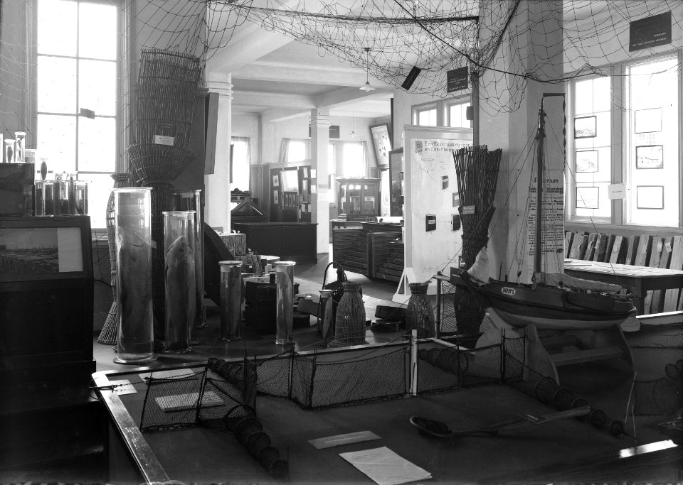 Museum in het hoofdkantoor van de Nederlandse Heidemaatschappij te Arnhem, Bestanddeelnr 162-0783