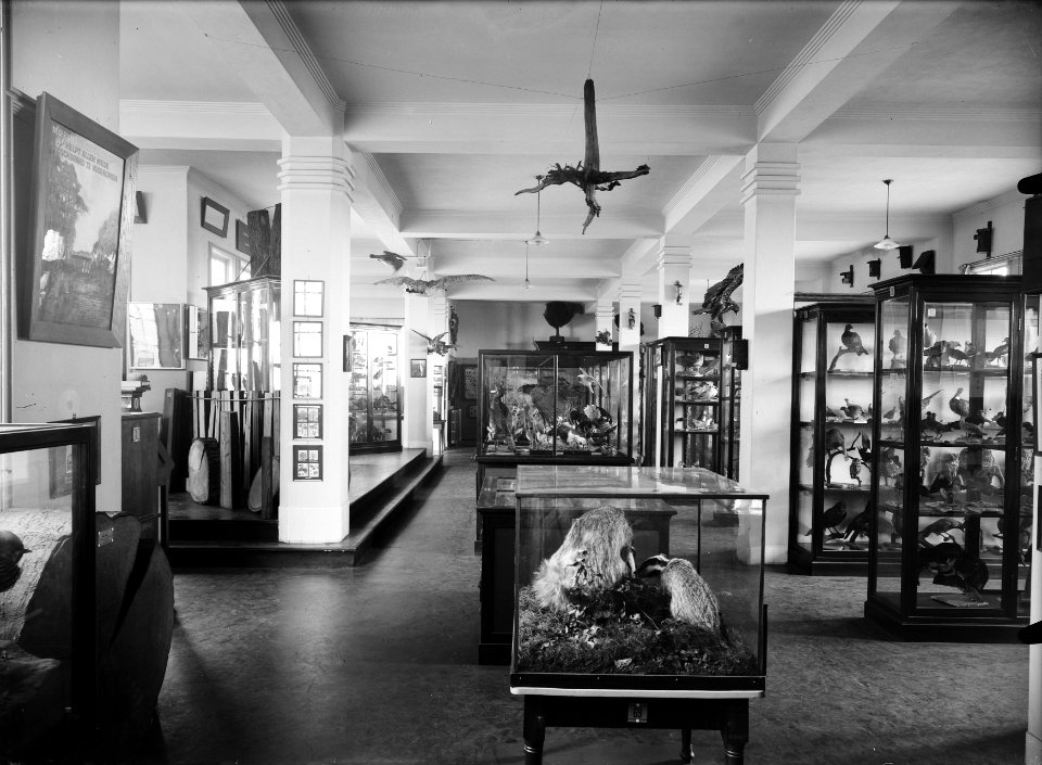Museum in het hoofdkantoor van de Nederlandse Heidemaatschappij te Arnhem, Bestanddeelnr 162-0772