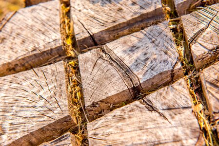 Section detail timber