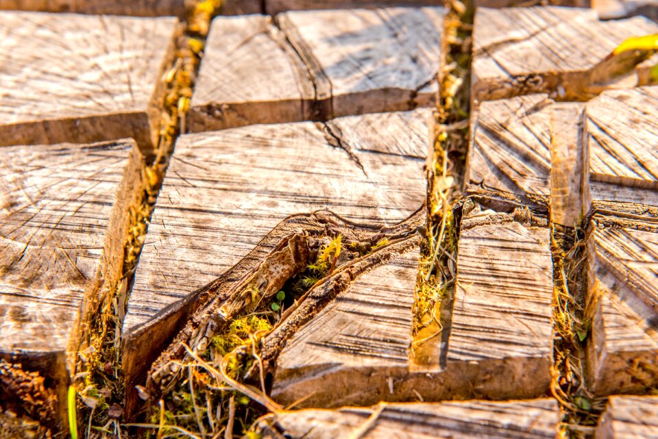 Section detail timber