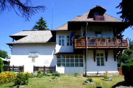 Muzeul Grigorescu10