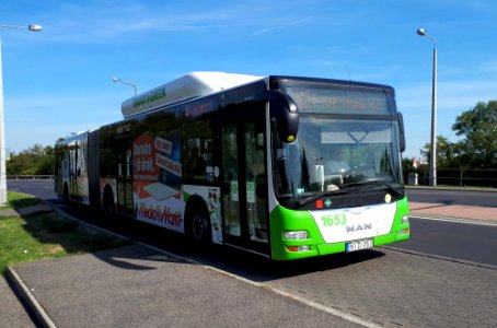 MVK line 12