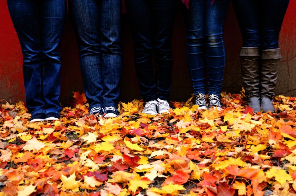 Denim jeans environment fall