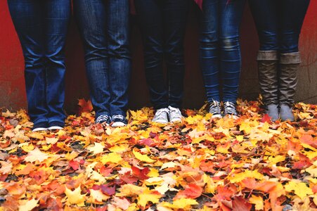 Denim jeans environment fall photo