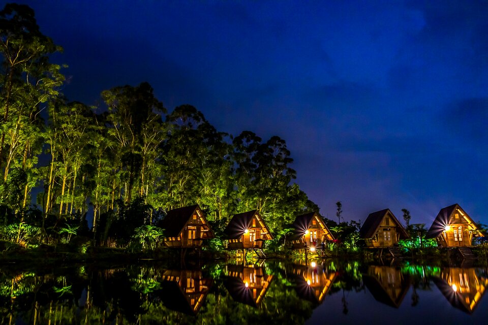 Lights nature night