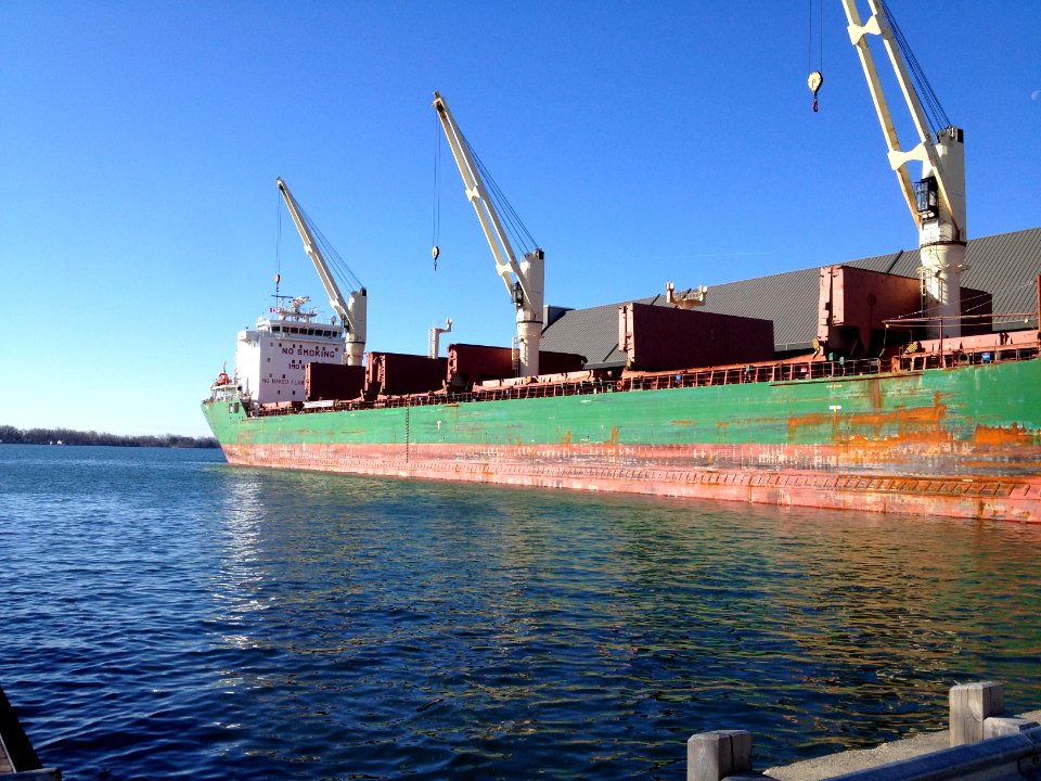 MV Labrador Red Path 03