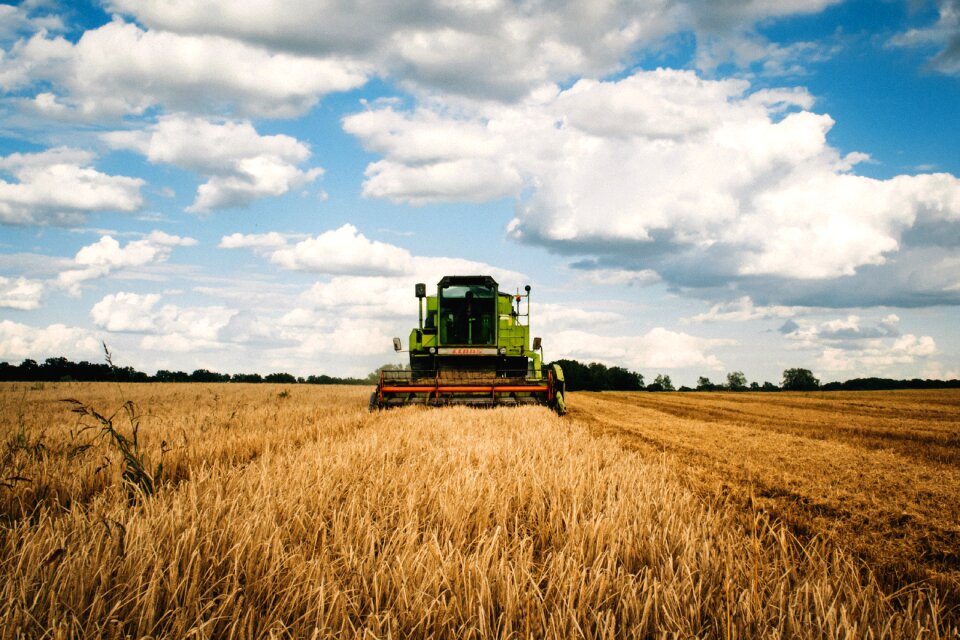 Countryside cropland farm