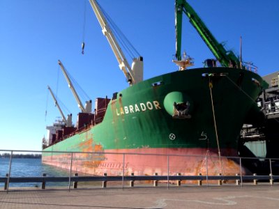 MV Labrador Red Path 02