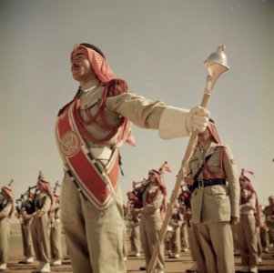 Muziekkorps van de koninklijke lijfwacht, Bestanddeelnr 255-9751