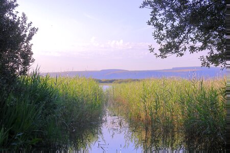 Sitting lake nature