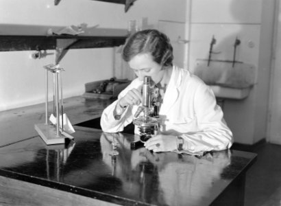 Mw. Wdzickonska, arts, achter een microscoop, 1934, Bestanddeelnr 190-1266 photo