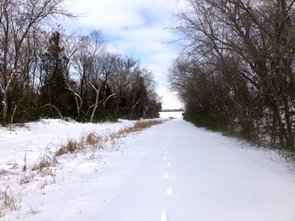 Muskogee snowstorm 2021-02-15 Centennial Trail Park Blvd SW