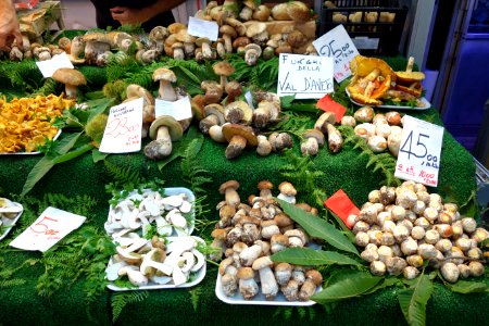 Mushrooms - Mercato Orientale - Genoa, Italy - DSC02480 photo