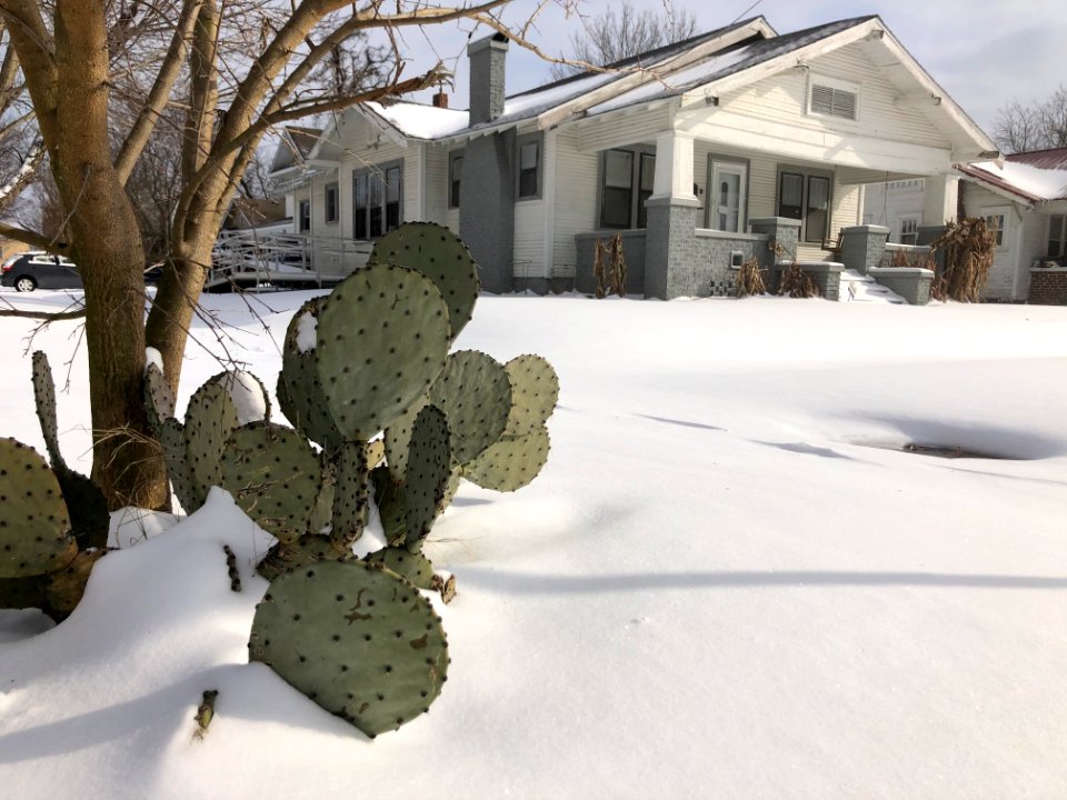 Muskogee snowstorm 2021-02-15 222 N 10th St cactus NW