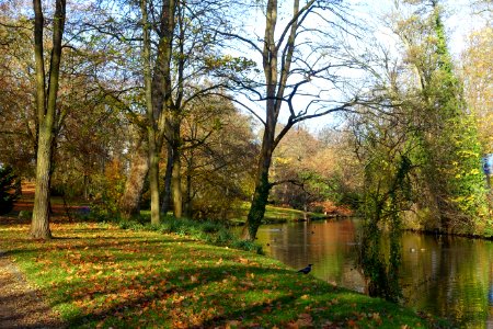 Museumpark - Braunschweig, Germany - DSC04292