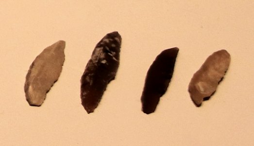 Mushabian culture microliths, Ramat Matred, 15500 BP