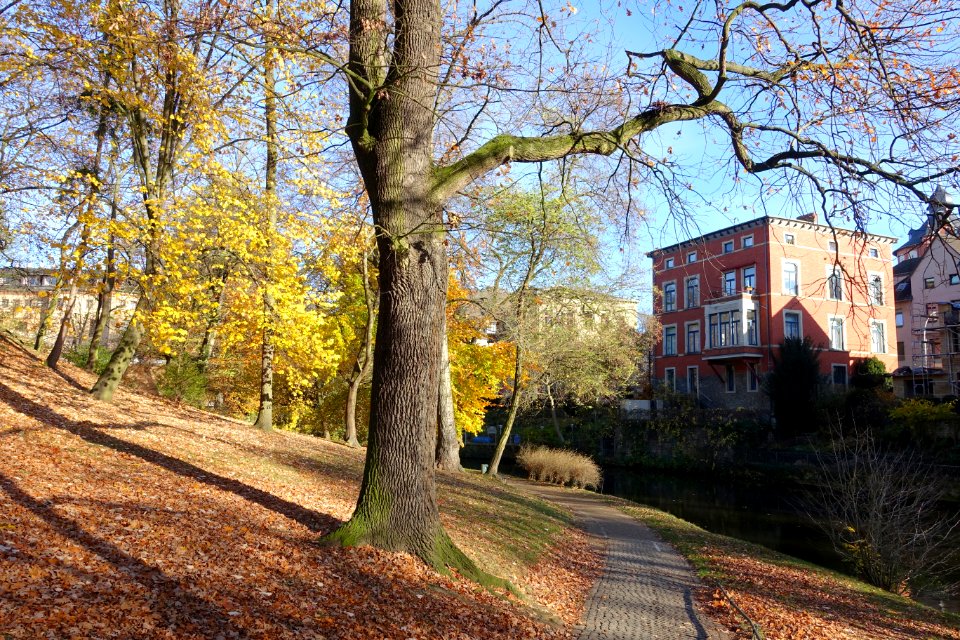 Museumpark - Braunschweig, Germany - DSC04290