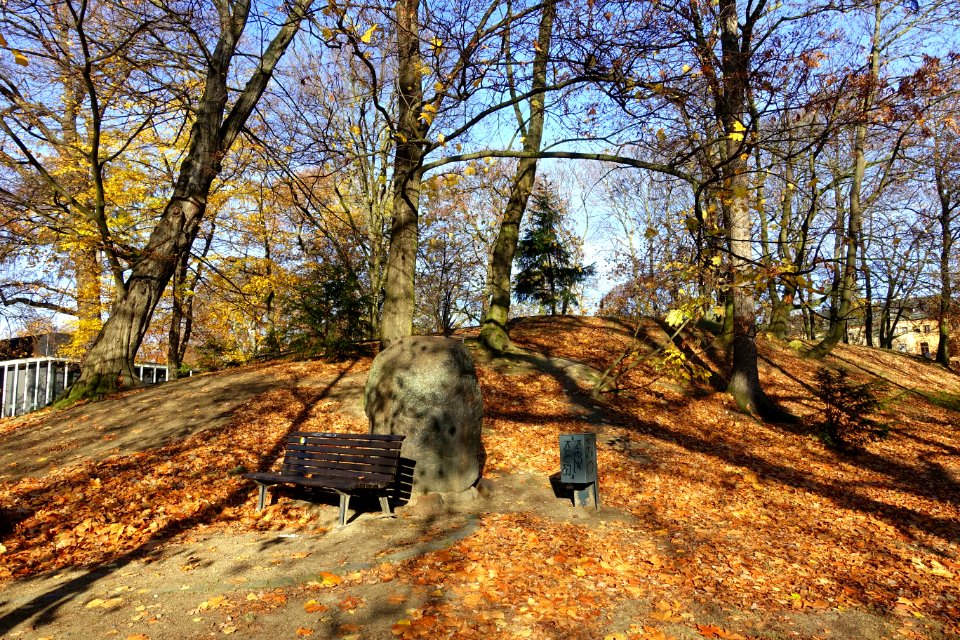 Museumpark - Braunschweig, Germany - DSC04289