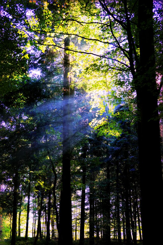 Landscape sunbeam light