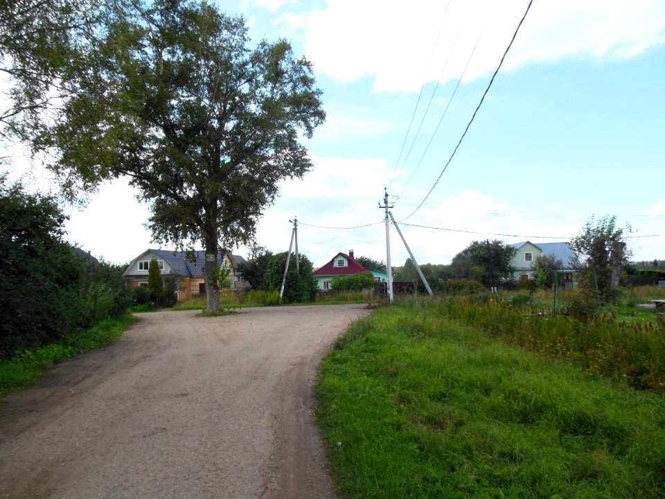 Mykanino (Istrinsky District) 3
