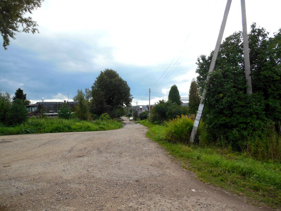 Mykanino (Istrinsky District) 4