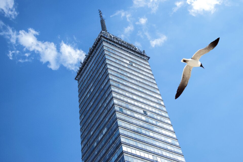 Architecture federal district latin american tower