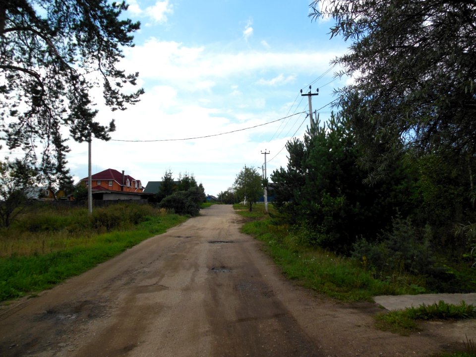 Mykanino (Istrinsky District) 2