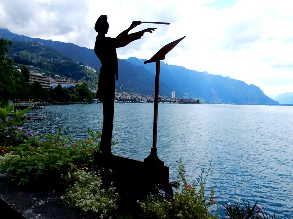 Musician (163201955)