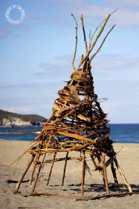My Shelter (176955209)