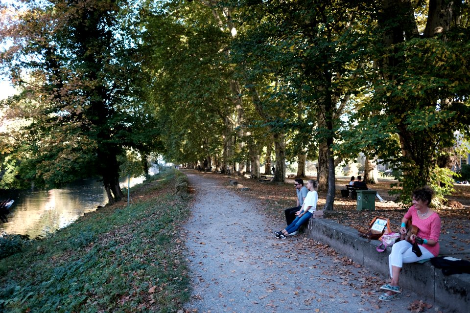 Musik-in-platanenallee