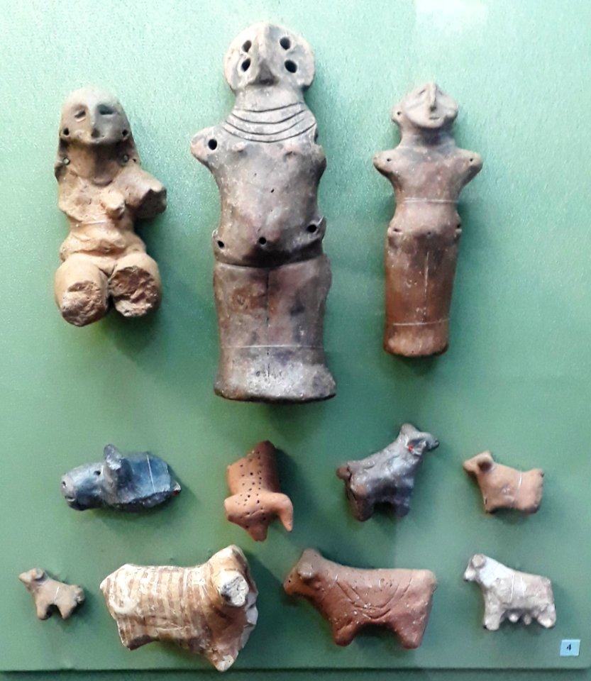 NMHU013