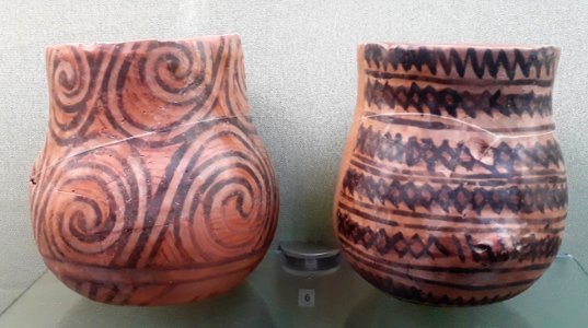 NMHU009