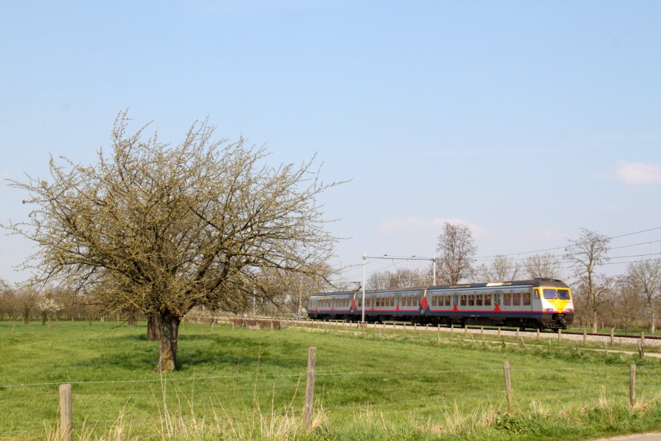 NMBS Break Mariahoop