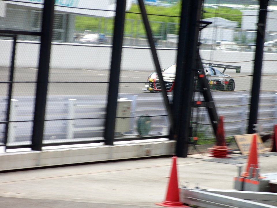 No.11 GAINER DIXCEL R8 LMS at 2012 Pokka 1000km (8)