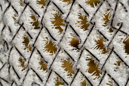 Snow crystals iced crystals