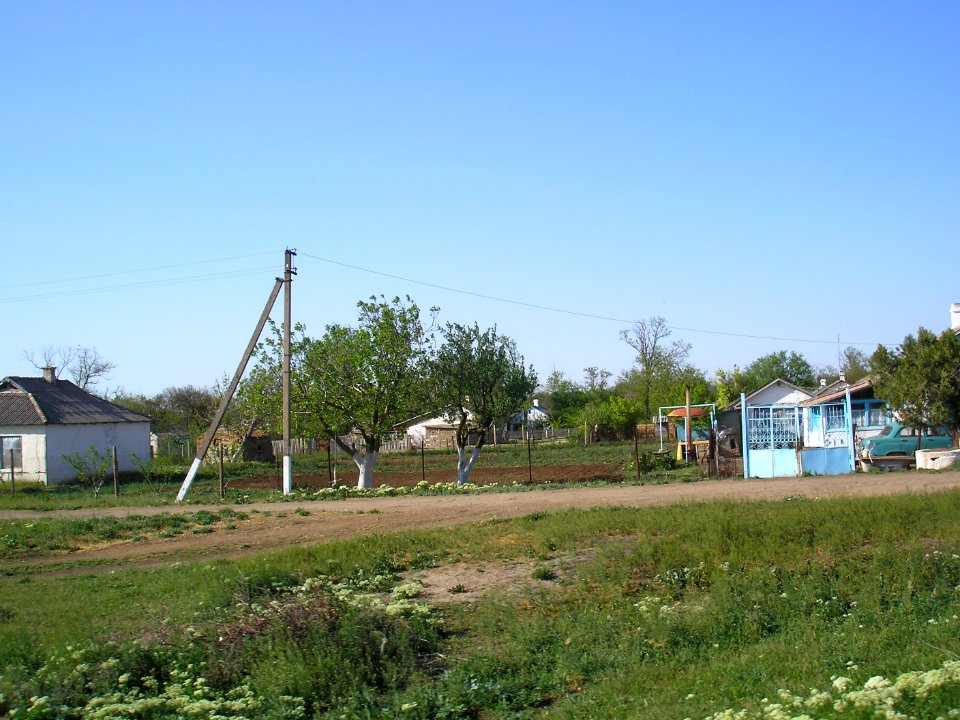 Nizinnoe Sak 6