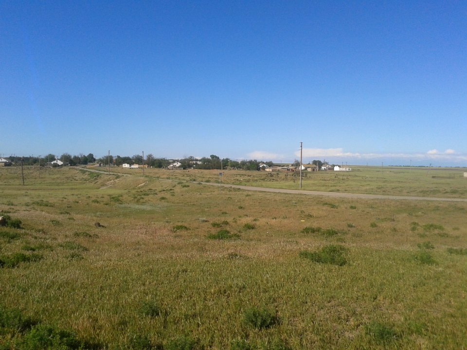 NizovkaCr 5
