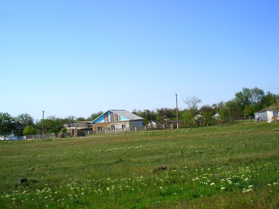 Nizinnoe Sak 7