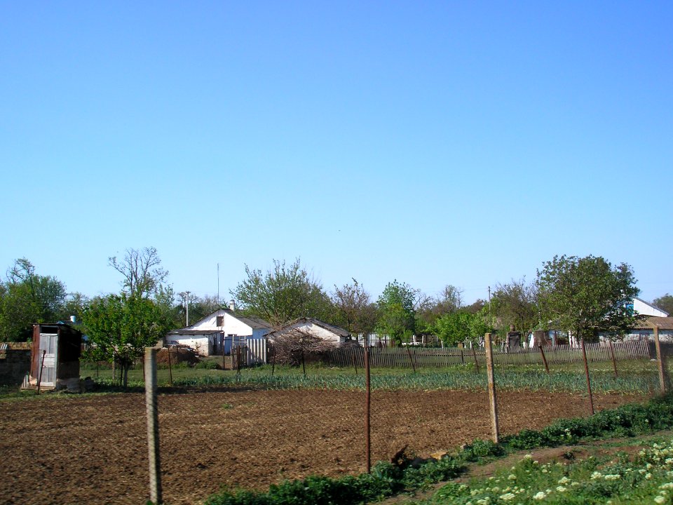 Nizinnoe Sak 5