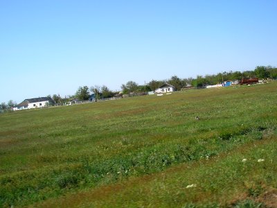 Nizinnoe Sak 10