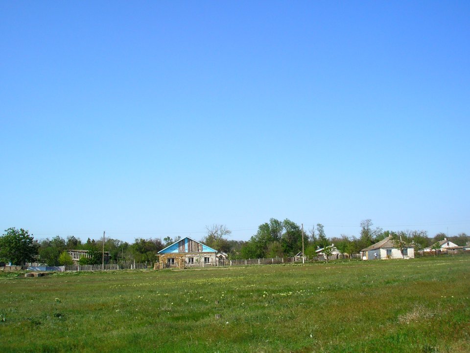 Nizinnoe Sak 8