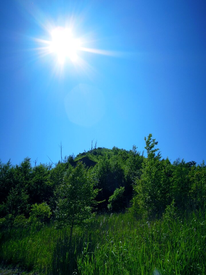 Sunlight sunny sun