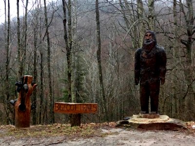 Bigfoot Trails Statue, Cataloochee, NC photo