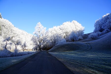 Hoarfrost winter iced