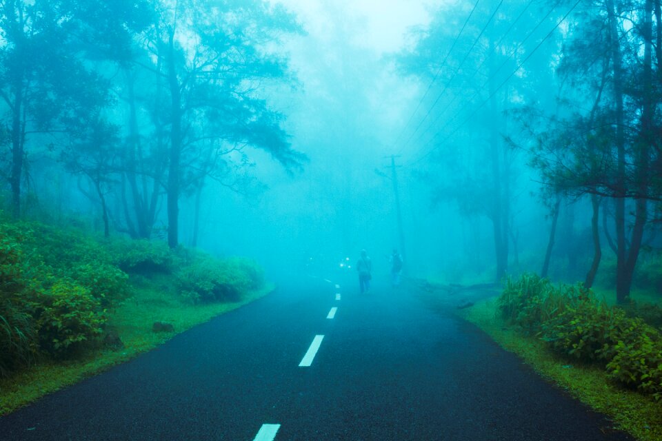 India nature travel