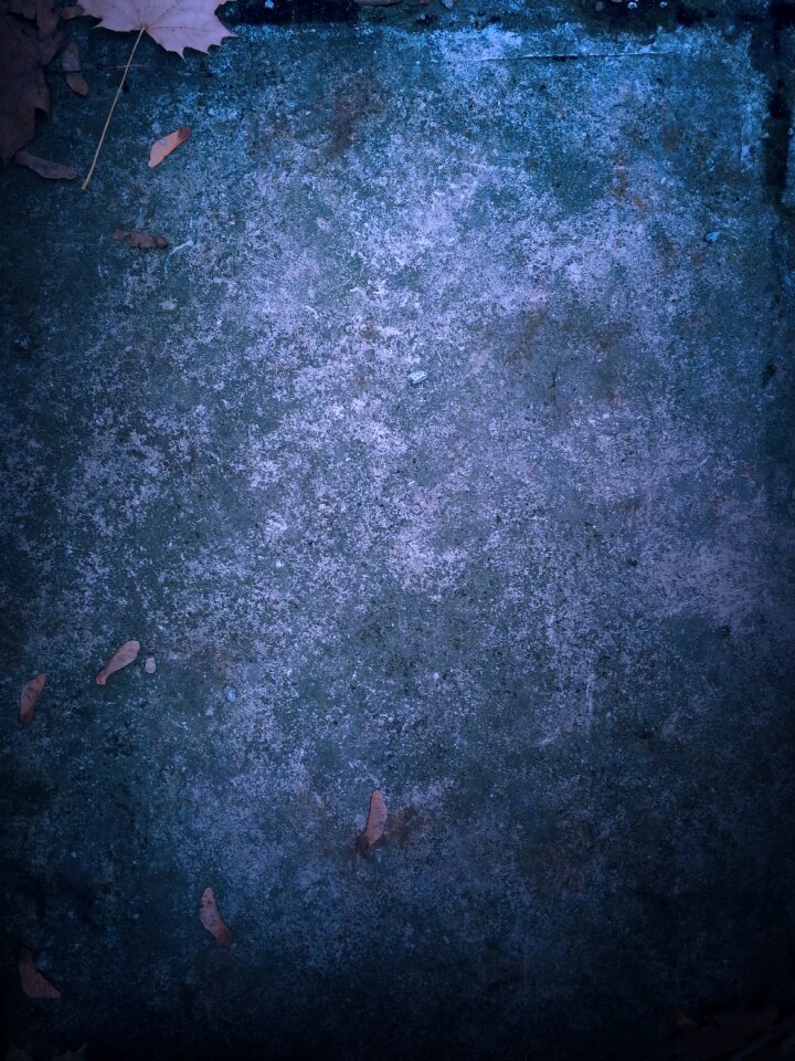 Leaves grunge texture
