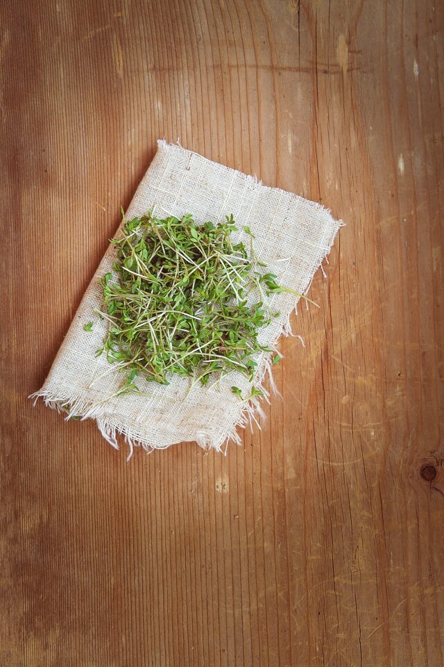 Natural product germ leaves naturkost