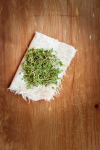 Natural product germ leaves naturkost