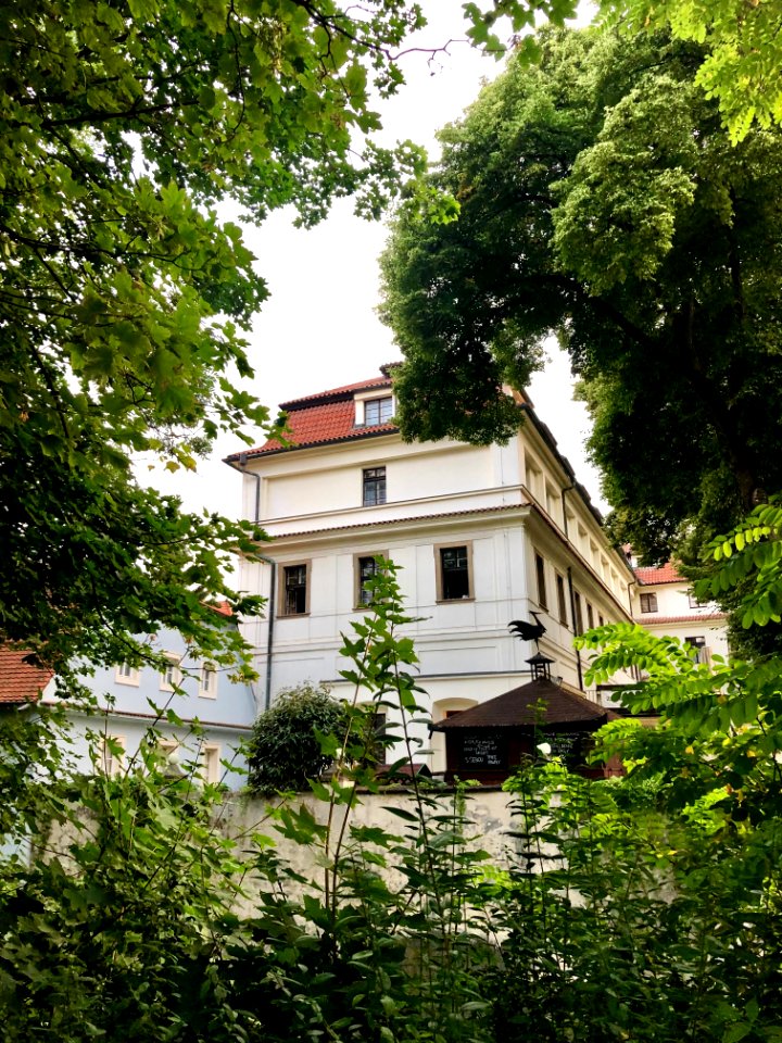 Ostrov Kampa, Malá Strana, Praha, Hlavní Město Praha, Česk… 